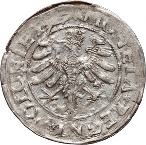 Zikmund I. Starý, penny 1528?, Krakov