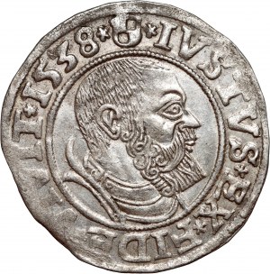 Knížecí Prusko, Albrecht Hohenzollern, penny 1538, Königsberg