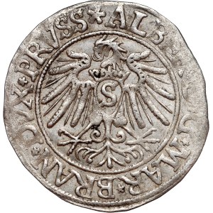 Prusy Książęce, Albrecht Hohenzollern, grosz 1538, Królewiec
