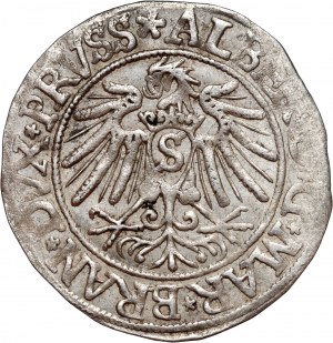 Knížecí Prusko, Albrecht Hohenzollern, penny 1538, Königsberg