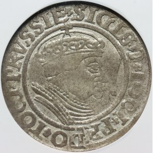 Zygmunt I Stary, grosz 1534, Toruń