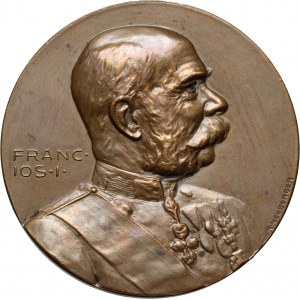 Austria, 1914 medal, Franz Joseph I