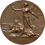 Austria, 1914 medal, Franz Joseph I