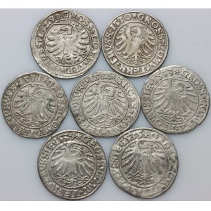 Zygmunt I Stary, zestaw groszy z lat 1529-1535, Toruń, (7 sztuk)