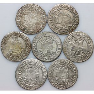 Zygmunt I Stary, zestaw groszy z lat 1529-1535, Toruń, (7 sztuk)