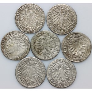 Zygmunt I Stary, zestaw groszy z lat 1529-1535, Toruń, (7 sztuk)