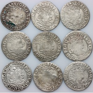 Zygmunt I Stary, zestaw groszy z 1531 roku, Toruń, (9 sztuk)