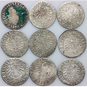 Zygmunt I Stary, zestaw groszy z 1531 roku, Toruń, (9 sztuk)