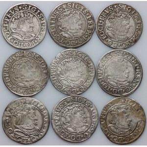 Zygmunt I Stary, zestaw groszy z lat 1532-1533, Toruń, (9 sztuk)