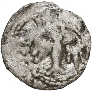 Kazimierz III Wielki 1333-1370, denar, Kraków, REX POLONIE