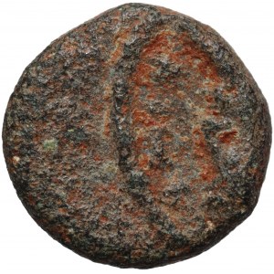 Migration Period, Vandals, Africa, Gelimer 530-534, Nummus