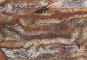 Agata Kus (ur. 1987, Krosno), 