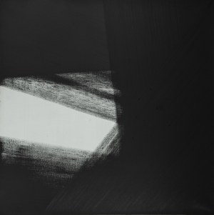 Rafał Bujnowski (ur. 1974, Wadowice), Bez tytułu (EXIT 4), 2010
