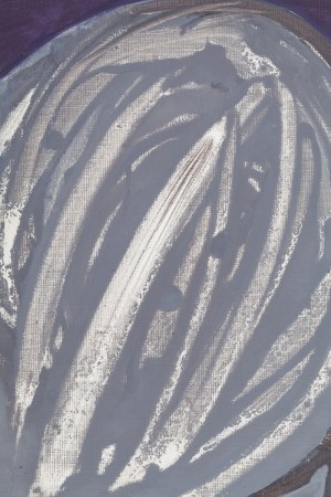 Róża Litwa (ur. 1982), Bez tytułu, 2009