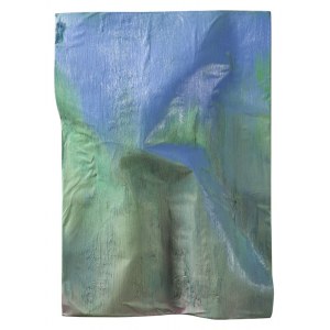 Bartosz Kokosinski (b. 1984, Siewierz), Opal, 2016