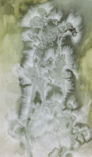 Magdalena Salome (ur. 1994, Warszawa), 