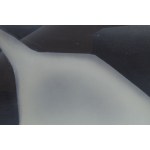 Dominika Walczak (b. 1991, Lodz), Nowhere Nobody, 2024