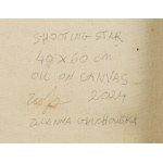 Zuzanna Głuchowska (nata nel 1999, Poznań), Stella cadente, 2024