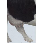 Piotr Wachowski (né en 1976), Vache, 2002