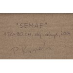 Paweł Książek (né en 1973 à Andrychów), Semae, 2004