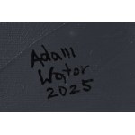 Adam Wątor (ur. 1970, Myślenice), Iluzja, 2025