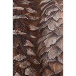 Marlena Mosior (b. 1990, Mielec), Cones, 2024