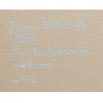 Joanna Półkośnik (ur. 1981), Pod bezkresnym niebem, 2025