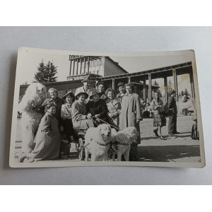 PHOTO TATRA, ZAKOPANE, GROUP OF PEOPLE, DOG, BEAR