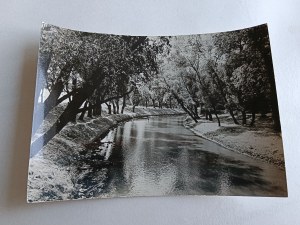 POSTCARD PRL WLOCLAWEK, CITY PARK