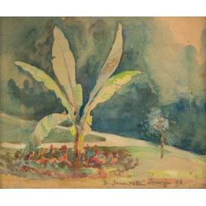 Bronisława Rychter-Janowska (1868 Cracovia - 1953 lì), Giardino a Trenčín