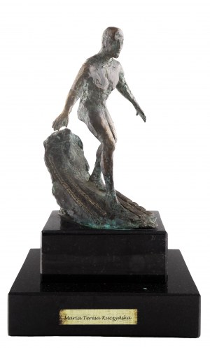 Maria Kuczyńska (ur. 1948 Elbląg), Surfer - Nagroda NASK im. prof. Tomasza Hofmokla