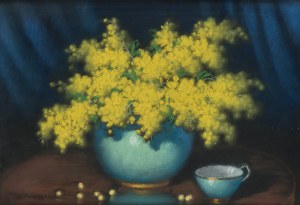 Marian Szczerbiński (1900-1981), Mimose