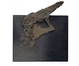 Antoni Pastwa, Koń VI z cyklu Cienie, 2011