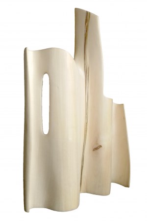 Anna Kalarus, Katedra I, 2013