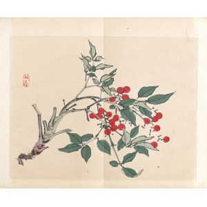 Kōno Bairei (1844-1895), hrsg. von Yamada Shinzaburo, Rowan, Kyoto, 1913.