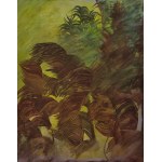 Edyta Hul (ur. 1986), Hydrofity, 2016