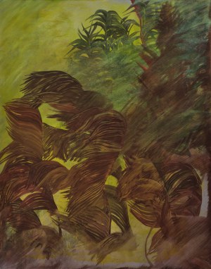 Edyta Hul (ur. 1986), Hydrofity, 2016