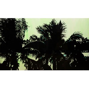 Pawel Kaluzynski (born 1979), Palms, 2016