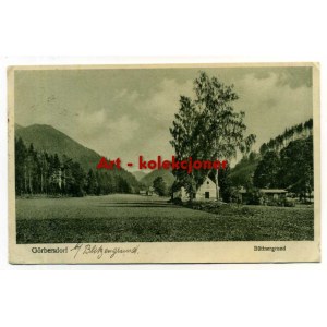 Sokołowsko - Gorbersdorf - Buttnergrund