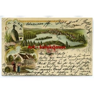Kunice - Kunitz k. Legnica - Gasthaus - Lithographie