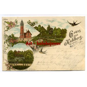 Krynica Morska - Kahlberg - Lithographie 1900