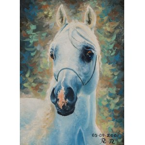 Painter unrecognized
