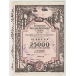 25,000 mkp 1923 Coal Industry Society - IV. Issue (pink)