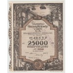 25,000 mkp 1923 Coal Industry Society - V. Issue (bronze)