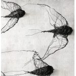 Maja Gajewska, Metal installation No. II - birds (4 pieces)