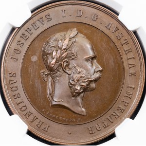 Franz Joseph I., Medal 1874