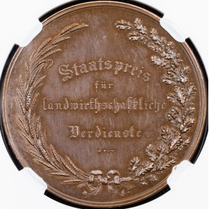 Franz Joseph I., Medal 1874