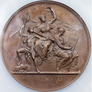 Franz Joseph I., Medal 1877