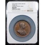 Franz Joseph I., Medal 1877
