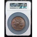 Franz Joseph I., Medal 1877